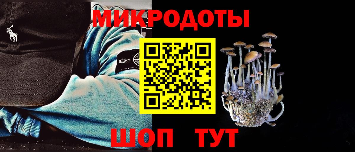 Галлюциногенные грибы Psilocybe  Вход с VPN  где купить наркотик  Галлюциногенные грибы ЛСД  Десногорск 